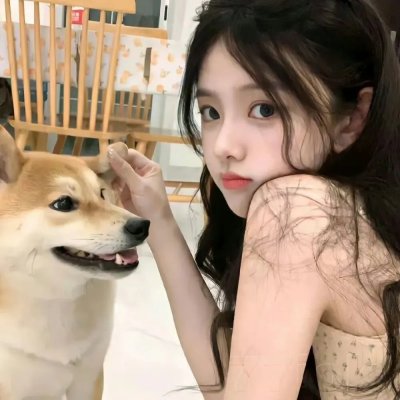 一只小蜘蛛
